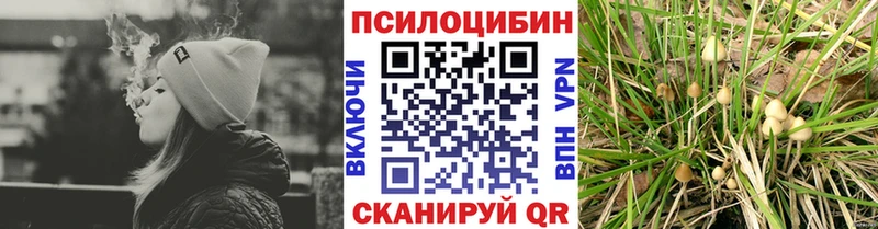 дарнет шоп  Куса  Галлюциногенные грибы мухоморы 